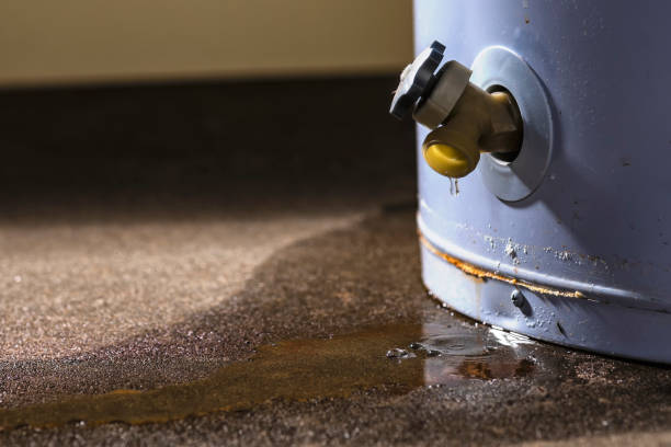 Best Water damage restoration near me  in Anahola, HI