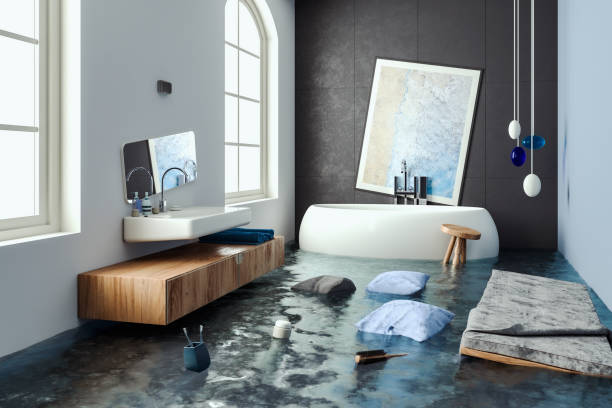Best Water damage restoration specialists  in Anahola, HI