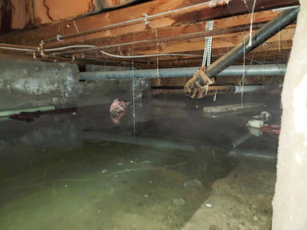 Best Sewage cleanup and water damage restoration  in Anahola, HI