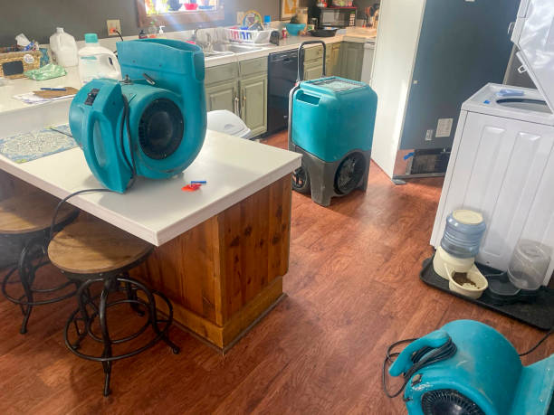  Anahola, HI Water damage restoration Pros