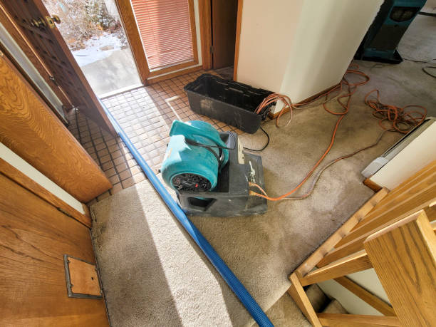 Reliable Anahola, HI Water damage restoration Solutions