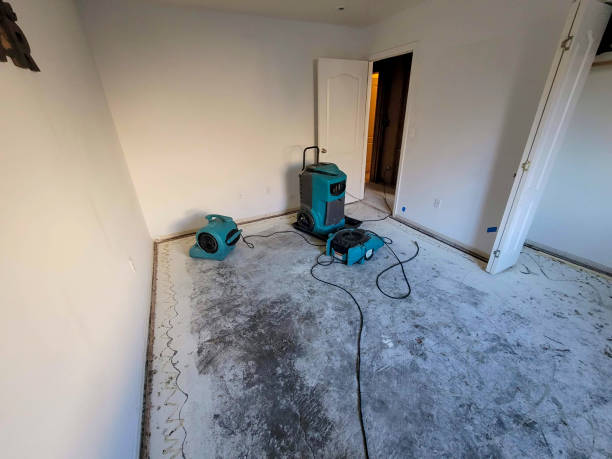 Best Water damage restoration company  in Anahola, HI