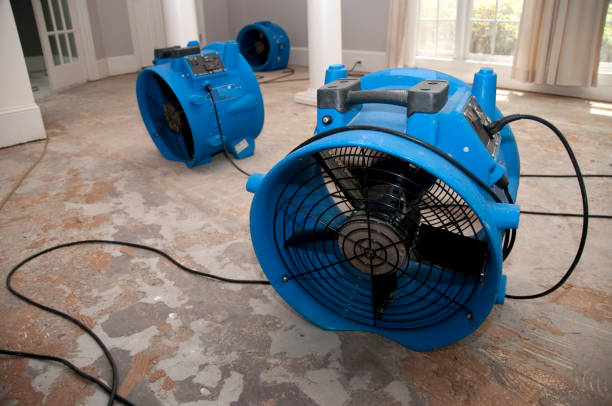 Best Flood damage cleanup  in Anahola, HI