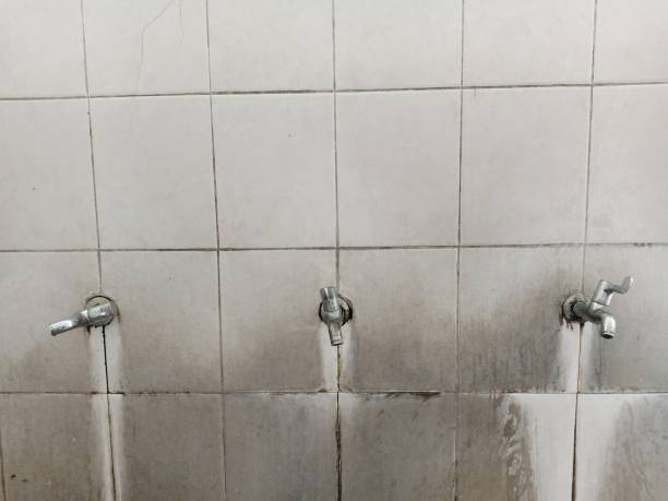Best Water damage restoration near me  in Anahola, HI