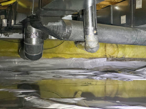 Best Professional water damage repair  in Anahola, HI