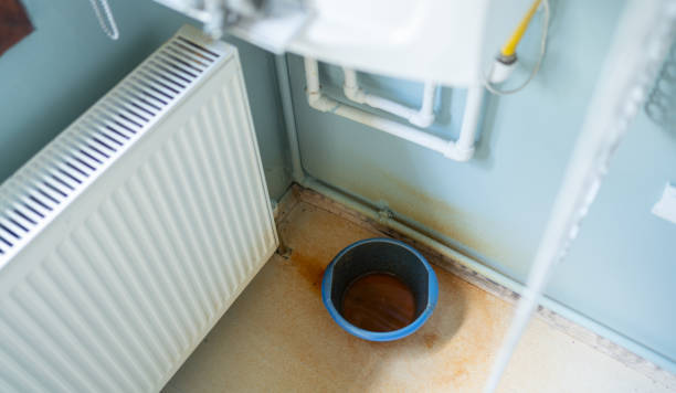 Best Ceiling water damage repair  in Anahola, HI