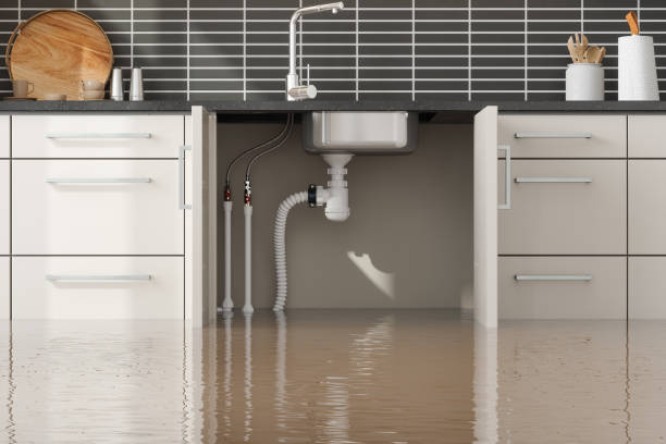 Best Mold removal after water damage  in Anahola, HI