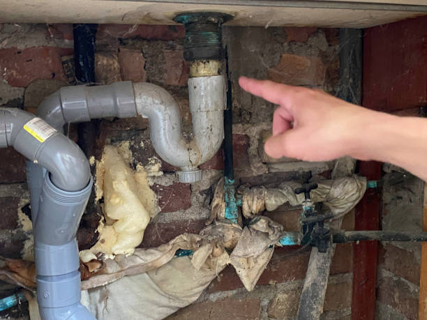 Best Water damage restoration near me  in Anahola, HI