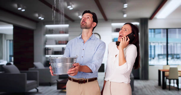 Best Local water damage restoration  in Anahola, HI