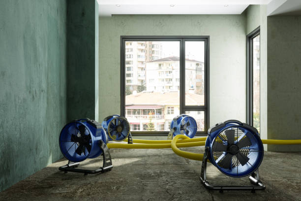 Best 24/7 water damage repair  in Anahola, HI
