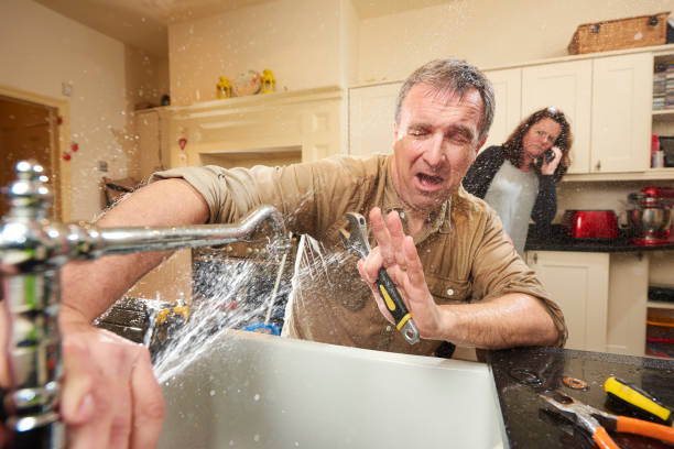 Best Water damage mitigation services  in Anahola, HI